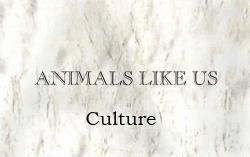    :   / Animals Like Us: Culture