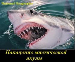    / NG: Attacks of the Mystery Shark