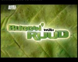    :   (5 ) / Buggin with Ruud