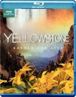  -    3  / Yellowstone - Battle For Life