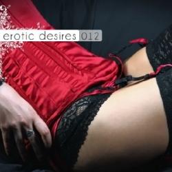 VA - Erotic Desires Volume 012