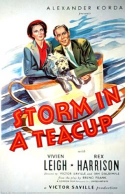     / Storm in a teacup MVO