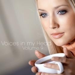 VA - Voices in my Head Volume 9