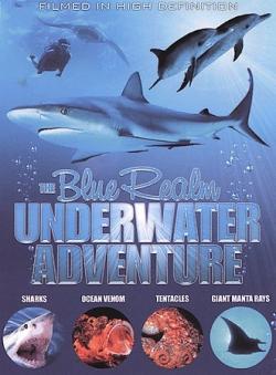 C  :    / The Blue Realm: Manatees and Dugongs VO