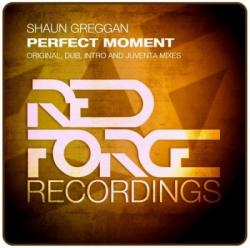 Shaun Greggan - Perfect Moment