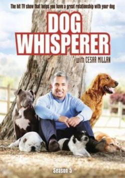      .  5 ( 102 -124) / Dog Whisperer with Cesar Millan VO
