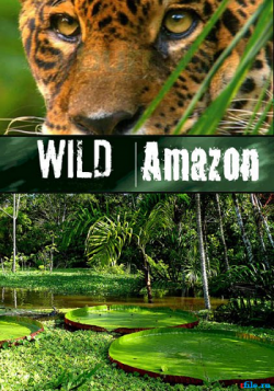    / Wild Amazon (2   2) DUB
