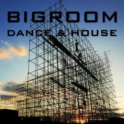 VA - Bigroom Dance & House