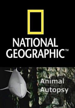 National Geographic:   .  / National Geographic: Animal Autopsy. The Whale VO
