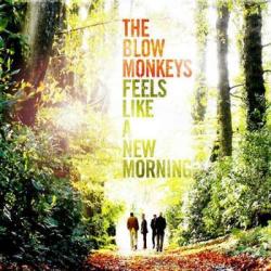 The Blow Monkeys - Feels Like A New Morning