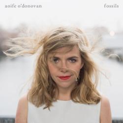 Aofie O'Donovan - Fossils
