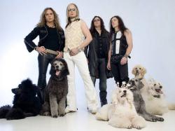The Poodles - 