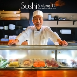VA - Sushi Volume 11
