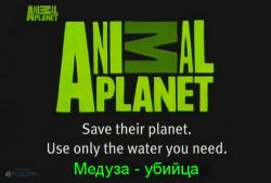 Animal Planet: - / Animal Planet: Killer Jellyfish VO