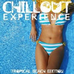 VA - Chillout Experience
