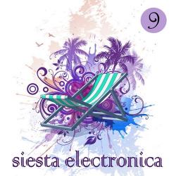 VA - Siesta Electronica Vol 9
