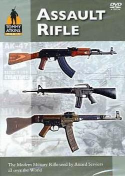   / Assault Rifles VO