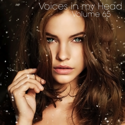 VA - Voices in my Head Volume 65