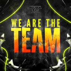 VA - We Are the Team