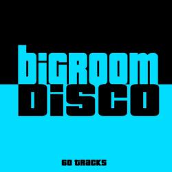 VA - Bigroom Disco 60 Tracks