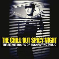 VA - The Chill Out Spicy Night