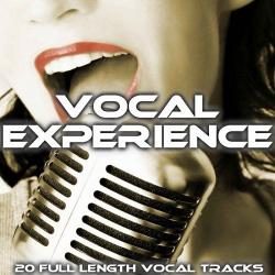 VA - Vocal Experience