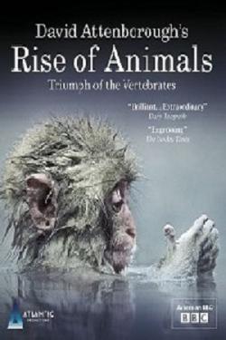       (2   2) / Rise of Animals: Triumph of the Vertebrates DUB