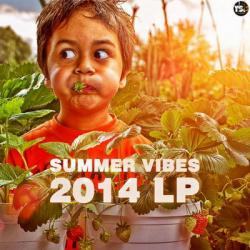 VA - Summer Vibes 2014 LP