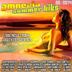 VA - Amnezia Summer Hits 02