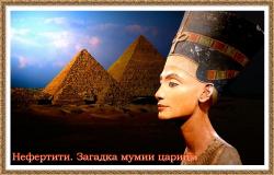 .    / Nefertiti. Mummy Queen Mystery DUB