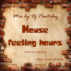 Mix by Dj Panteley - House feeling hours