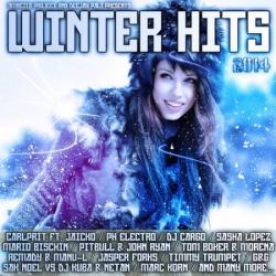VA - Amnezia Winter Hits 2014