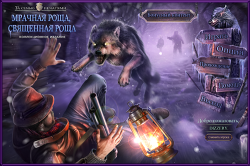 Mystery Case Files 11: Dire Grove, Sacred Grove Collectors Edition [RUS]