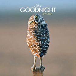 The Goodnight - Owlbum