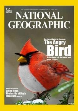    / Nat Geo Wild. Real Angry Birds DUB