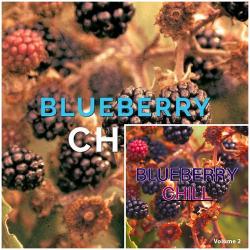 VA - Blueberry Chill Vol 1-2