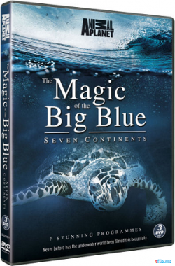   .   (7   7) / The Magic Of The Big Blue. Seven Continents DUB
