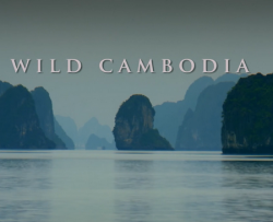   .   / National Geographic. Wild Cambodia DUB