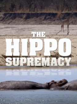   / NAT GEO WILD. The Hippo Supremacy DUB