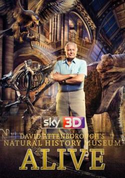        / David Attenborough's Natural History Museum Alive VO