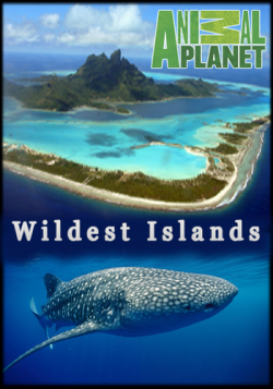   (1-8   8) / Animal Planet: Wildest Islands VO