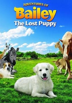  :   / Adventures of Bailey: The Lost Puppy MVO