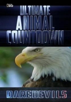 -.  / NAT GEO WILD. Ultimate Animal Countdown: Daredevils VO