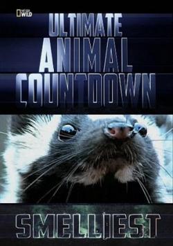-:    / NAT GEO WILD. Ultimate Animal Countdown: Smelliest VO