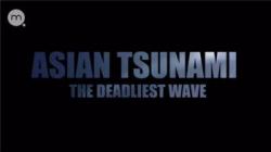  :   / Asian Tsunami: The Deadliest Wave VO