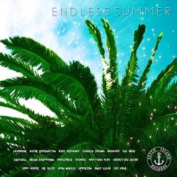 VA - Endless Summer