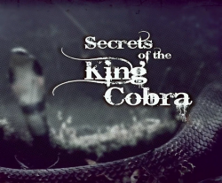    / NAT GEO WILD. Secrets of the King's Cobra DUB