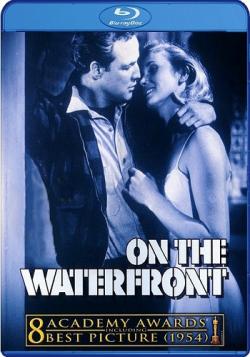   / On the Waterfront DVO