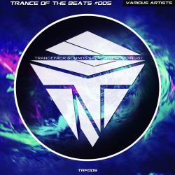 VA - Trance Of The Beats 005