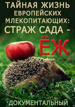    :   -  / The Secret Life Of European Mammals: The Garden Warrior - The Hedgehog VO